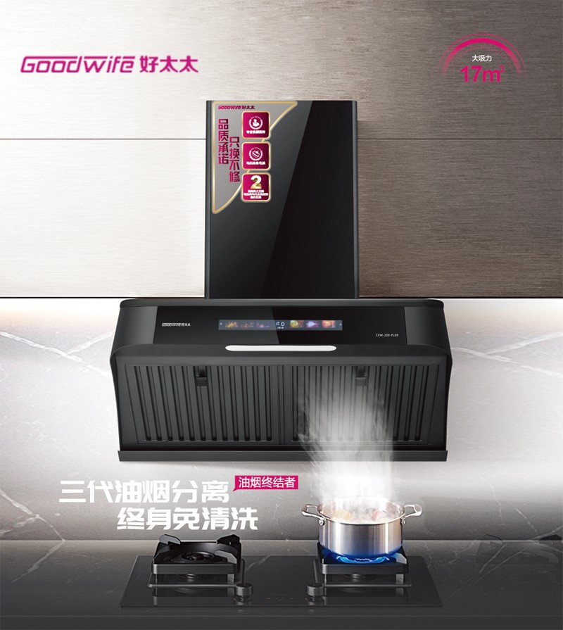 小烟机大哲学，品质生活就从Goodwife好太太CXW-200-FL09开始